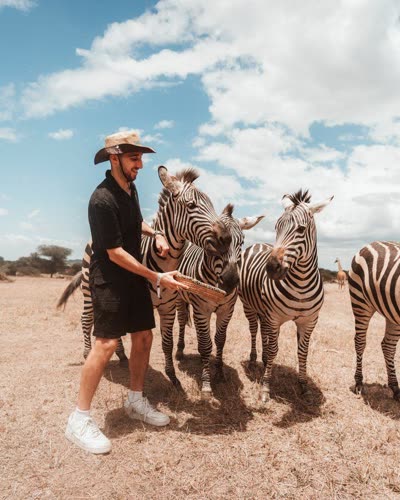 Un ragazzo con il cappello accarezza delle zebre durante un safari